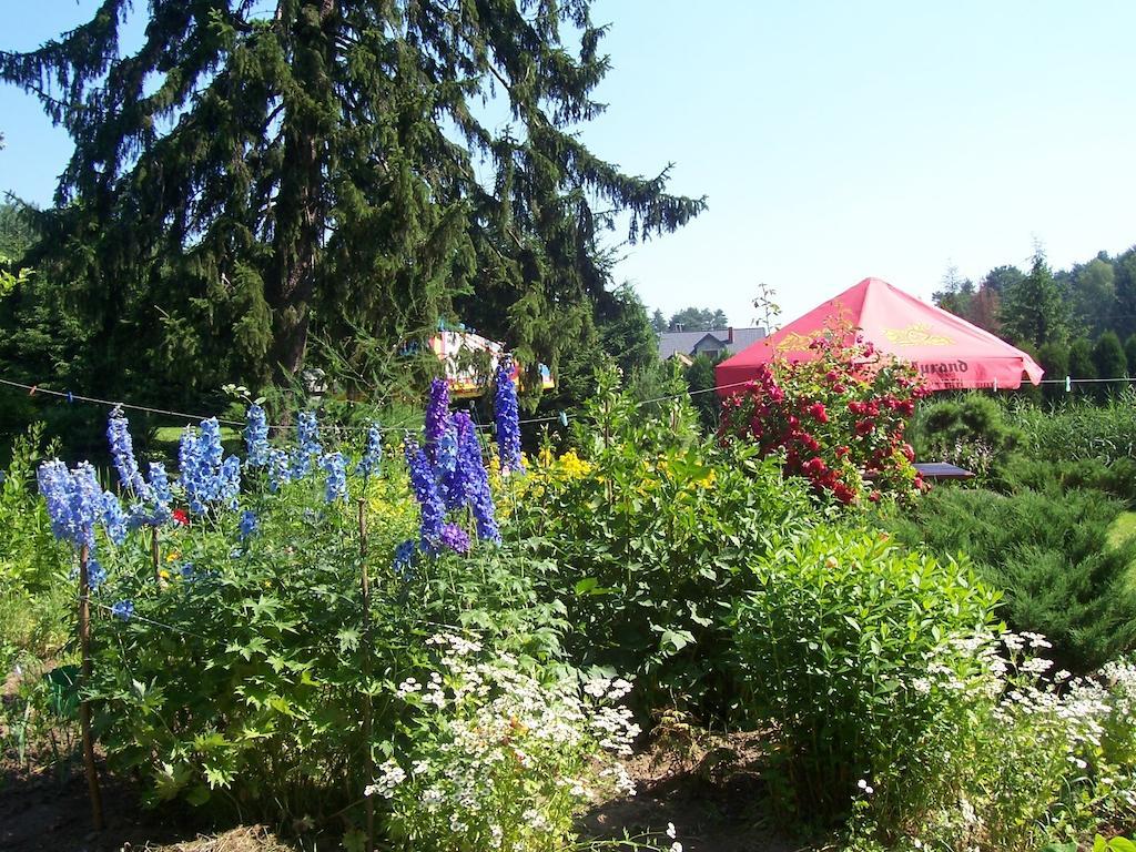 Villa Gosciniec Nad Stawem Szczytno  Esterno foto